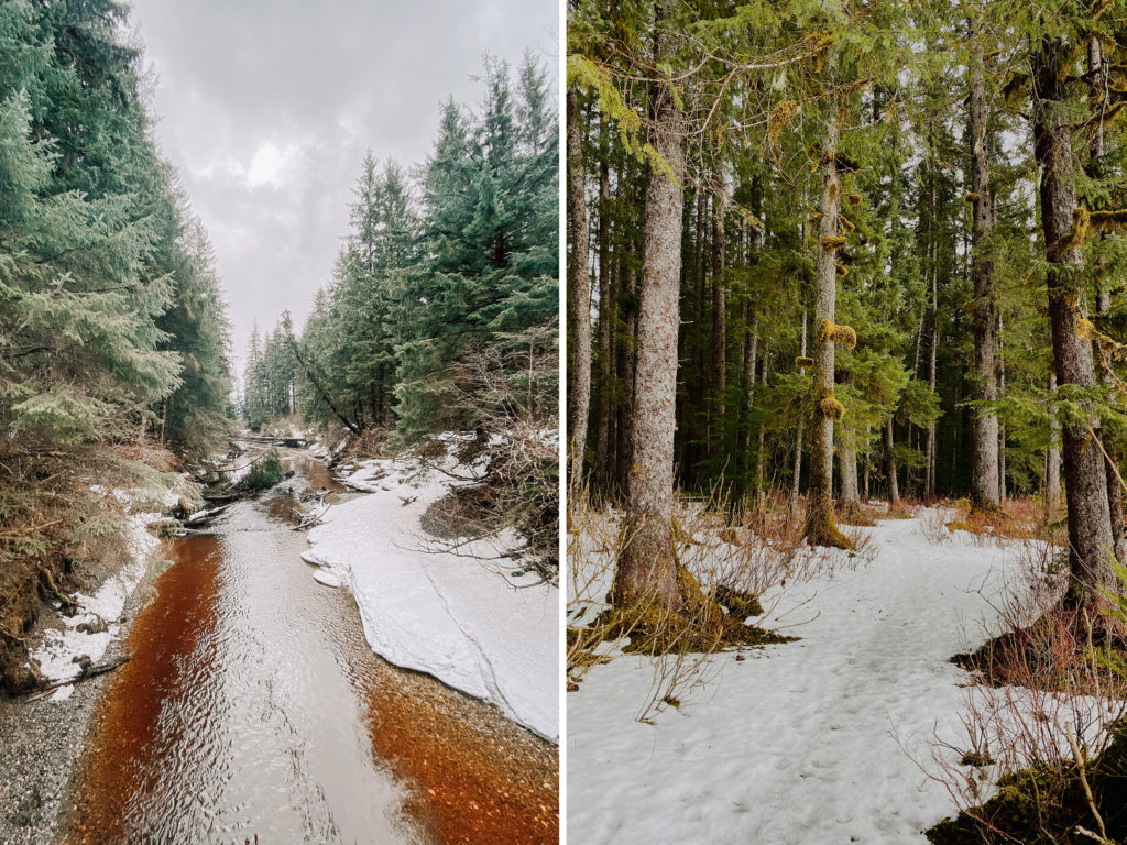 Tongass National Forest